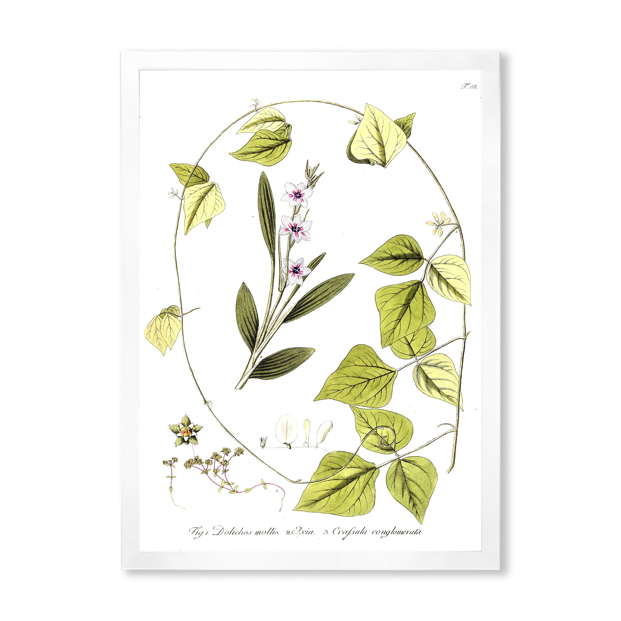 Designart 'Ancient Botanicals XXI' Traditional Framed Art Print