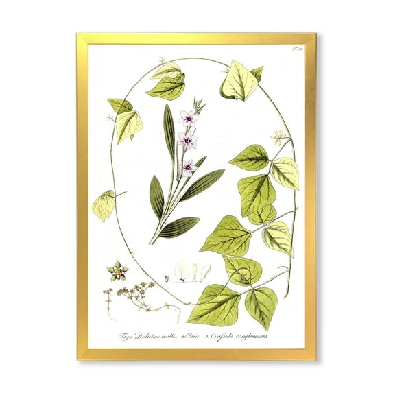 Designart 'Ancient Botanicals XXI' Traditional Framed Art Print