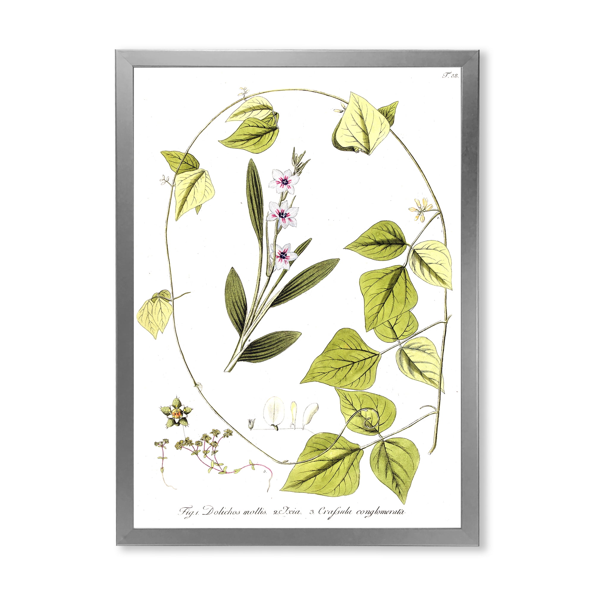Designart 'Ancient Botanicals XXI' Traditional Framed Art Print