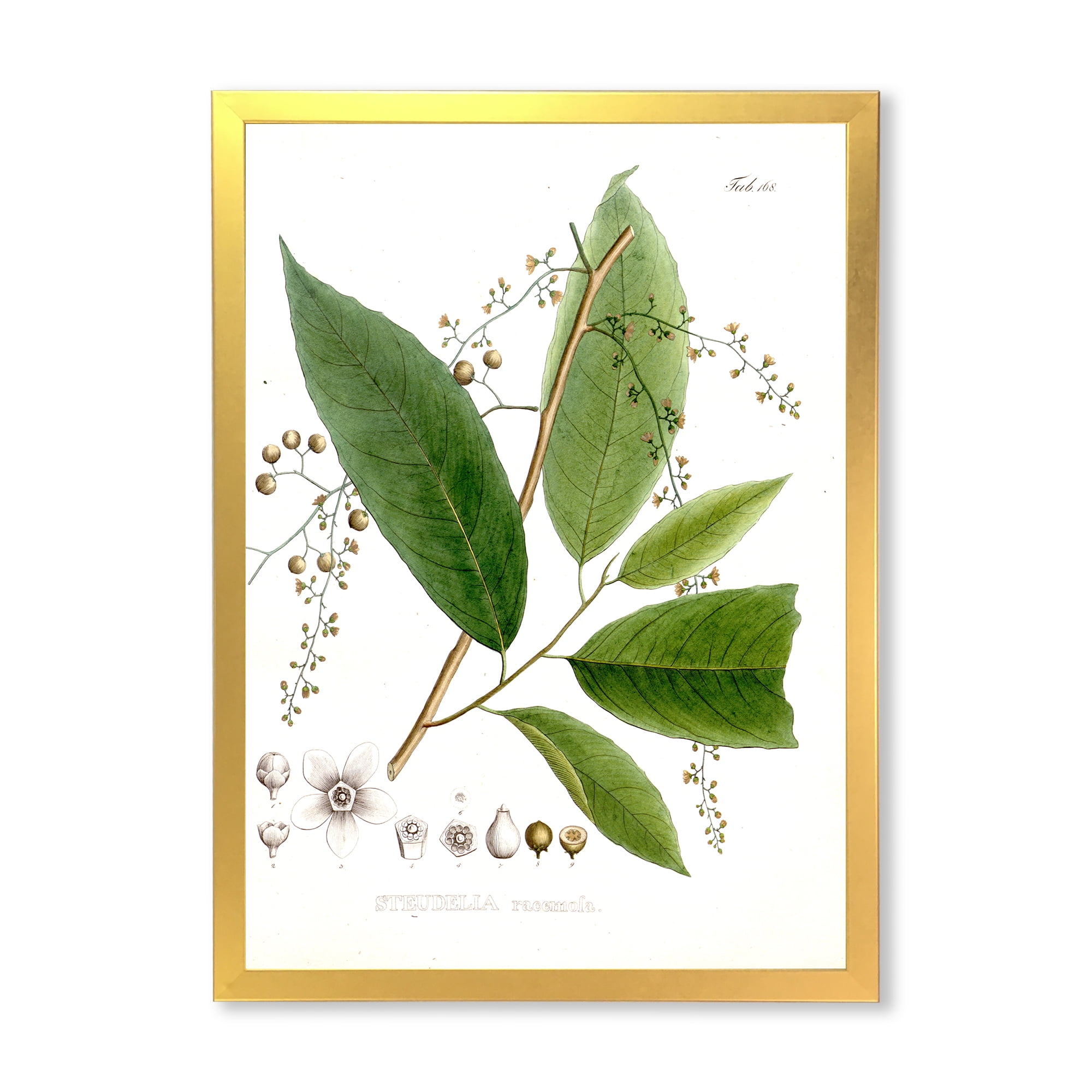 Designart 'Ancient Brazilian Plant I' Traditional Framed Art Print