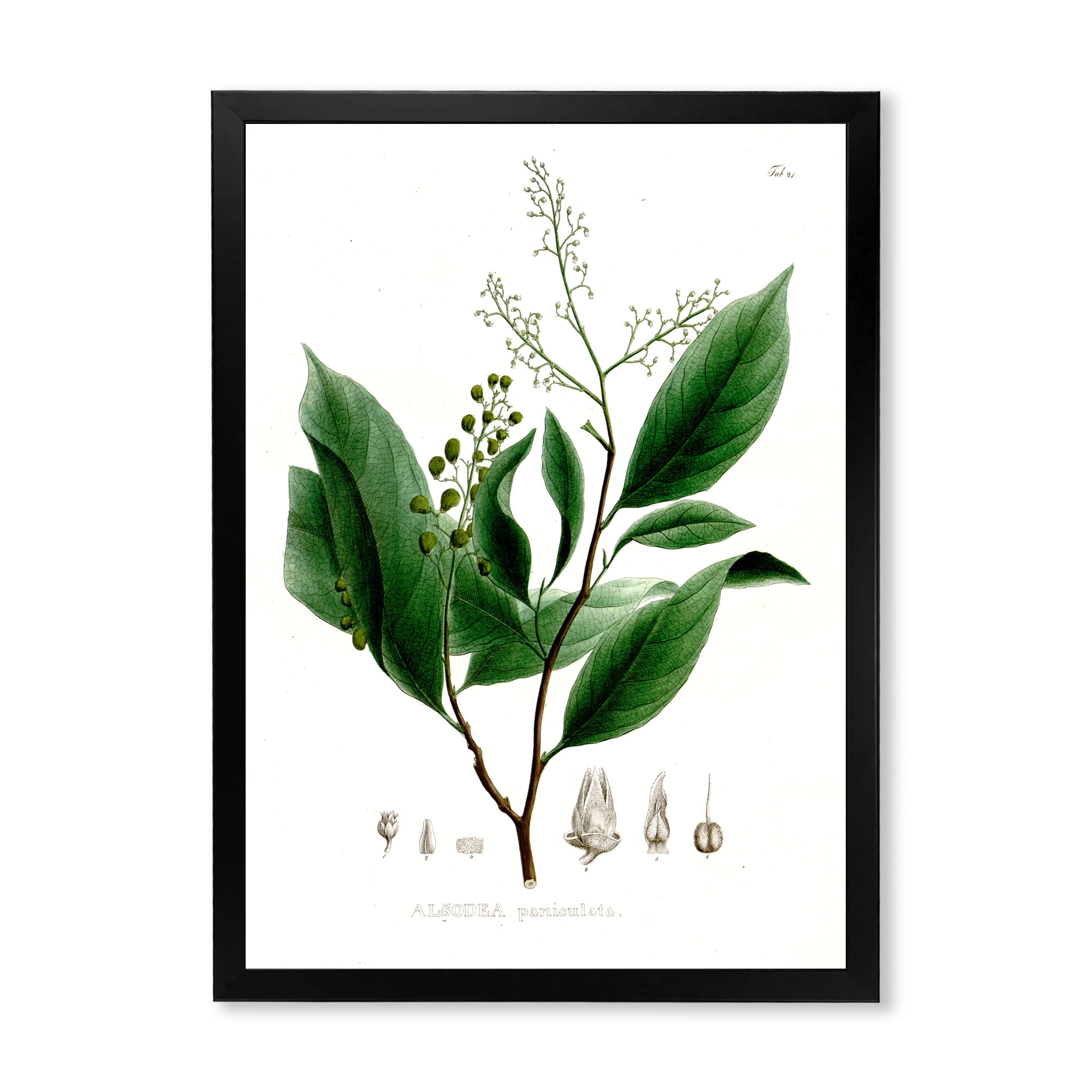 Designart 'Ancient Brazilian Plant II' Traditional Framed Art Print