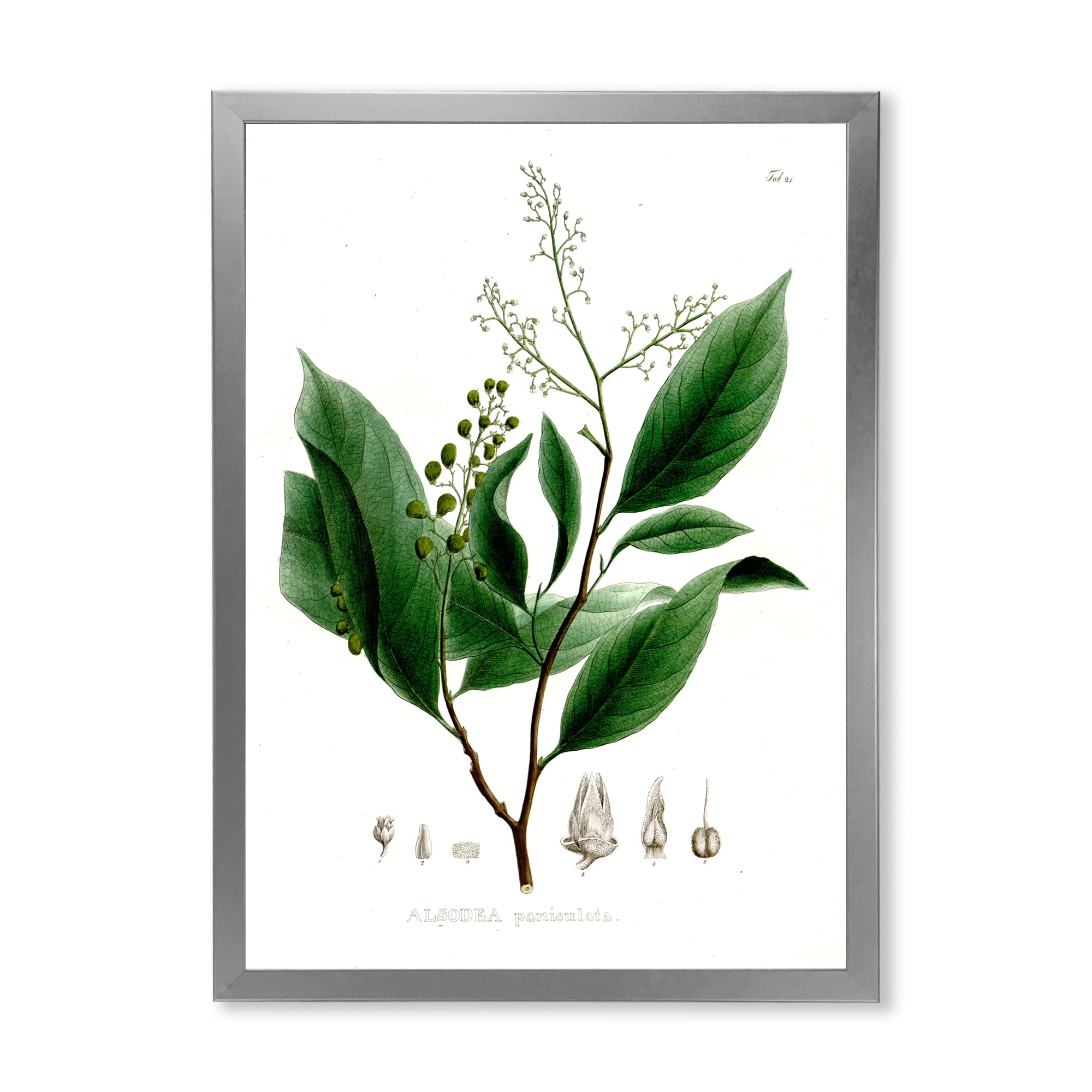 Designart 'Ancient Brazilian Plant II' Traditional Framed Art Print