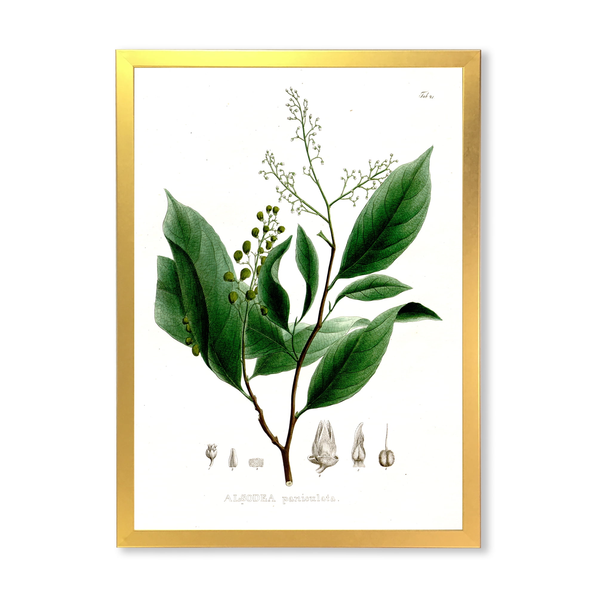 Designart 'Ancient Brazilian Plant II' Traditional Framed Art Print