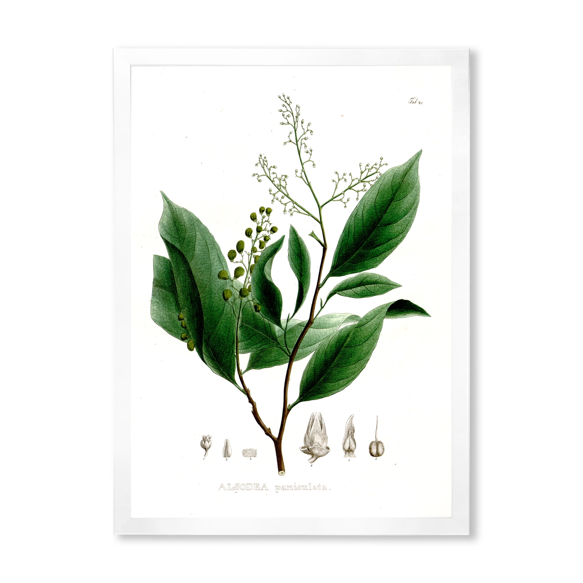 Designart 'Ancient Brazilian Plant II' Traditional Framed Art Print