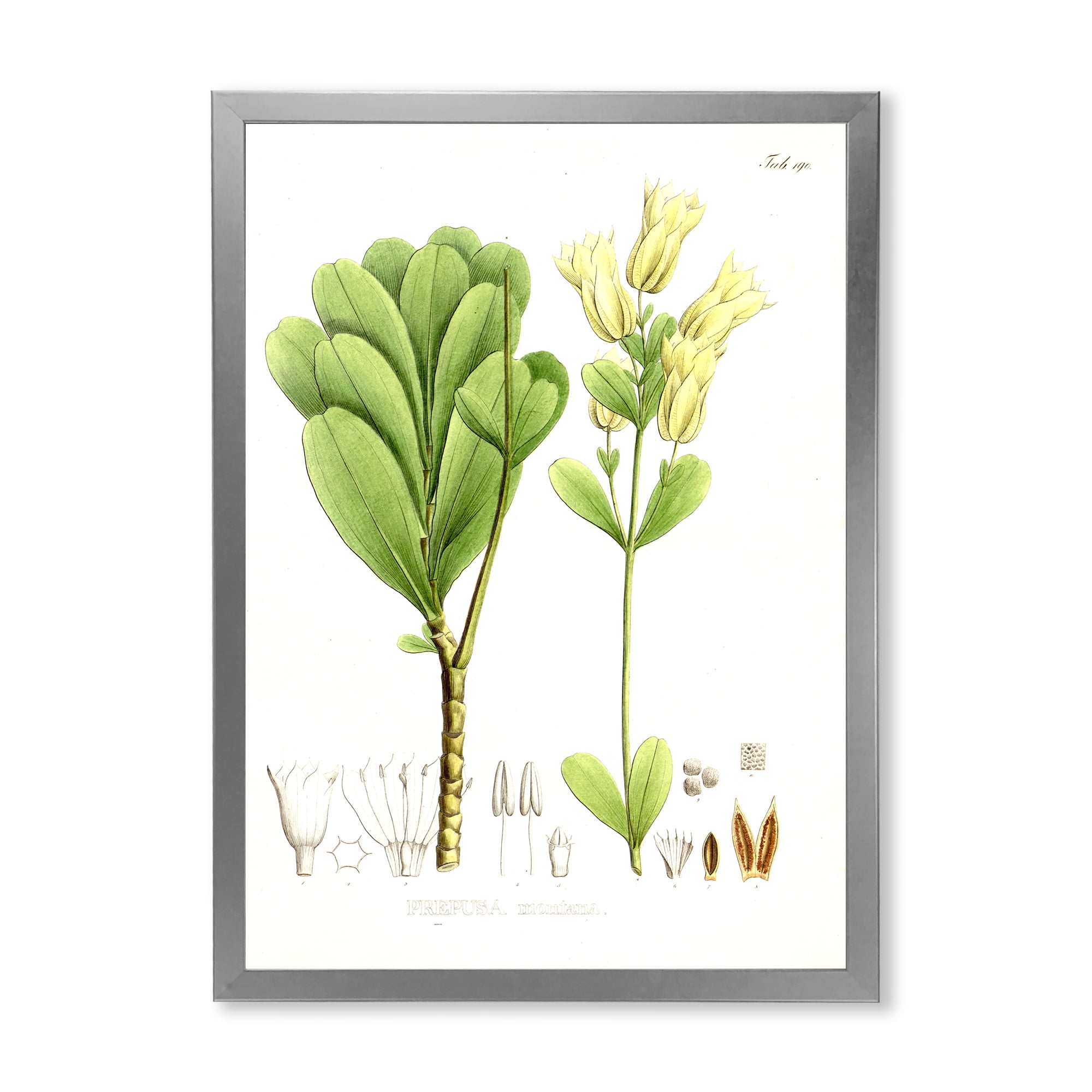 Designart 'Ancient Brazilian Plant III' Traditional Framed Art Print
