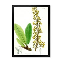 Designart 'Ancient Brazilian Plant IV' Traditional Framed Art Print