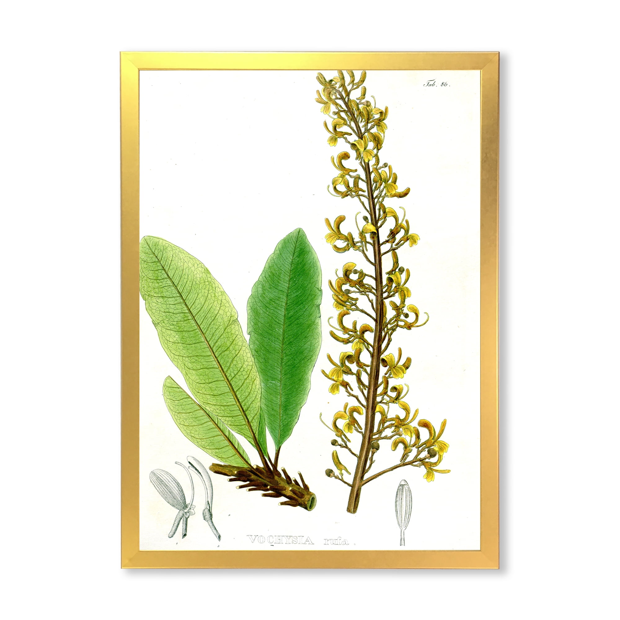 Designart 'Ancient Brazilian Plant IV' Traditional Framed Art Print