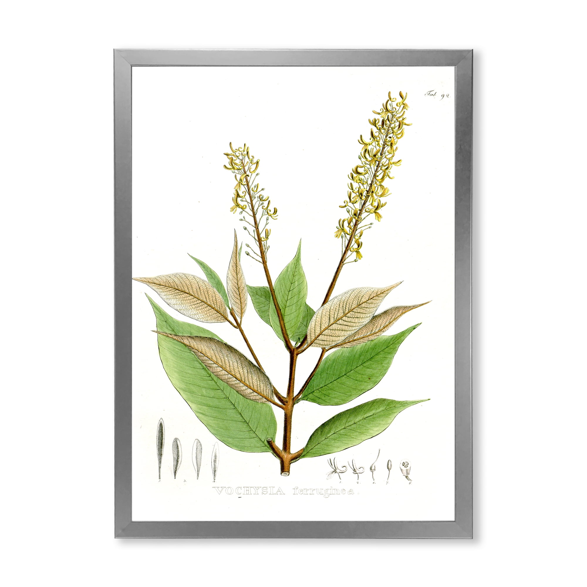 Designart 'Ancient Brazilian Plant V' Traditional Framed Art Print