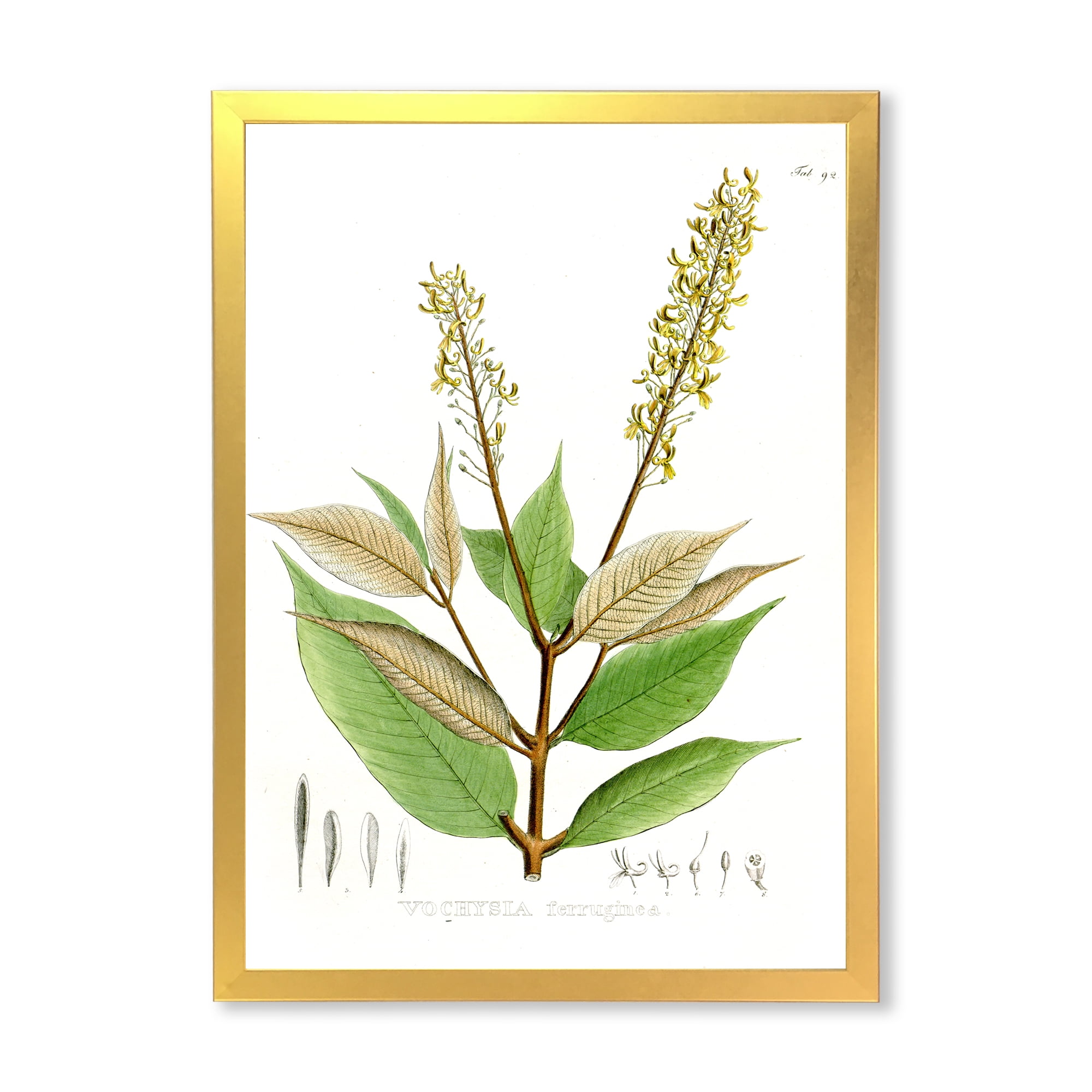 Designart 'Ancient Brazilian Plant V' Traditional Framed Art Print