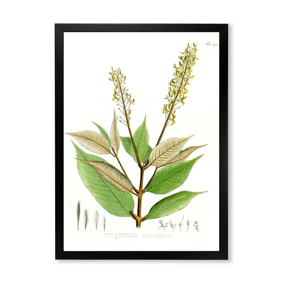 Designart 'Ancient Brazilian Plant V' Traditional Framed Art Print
