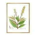 thumbnail image 1 of Designart 'Ancient Brazilian Plant V' Traditional Framed Canvas Wall Art Print, 1 of 5