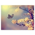 thumbnail image 1 of Designart ' Ancient Butterfly Flying To A White Flower ' Traditional Canvas Wall Art Print, 1 of 4