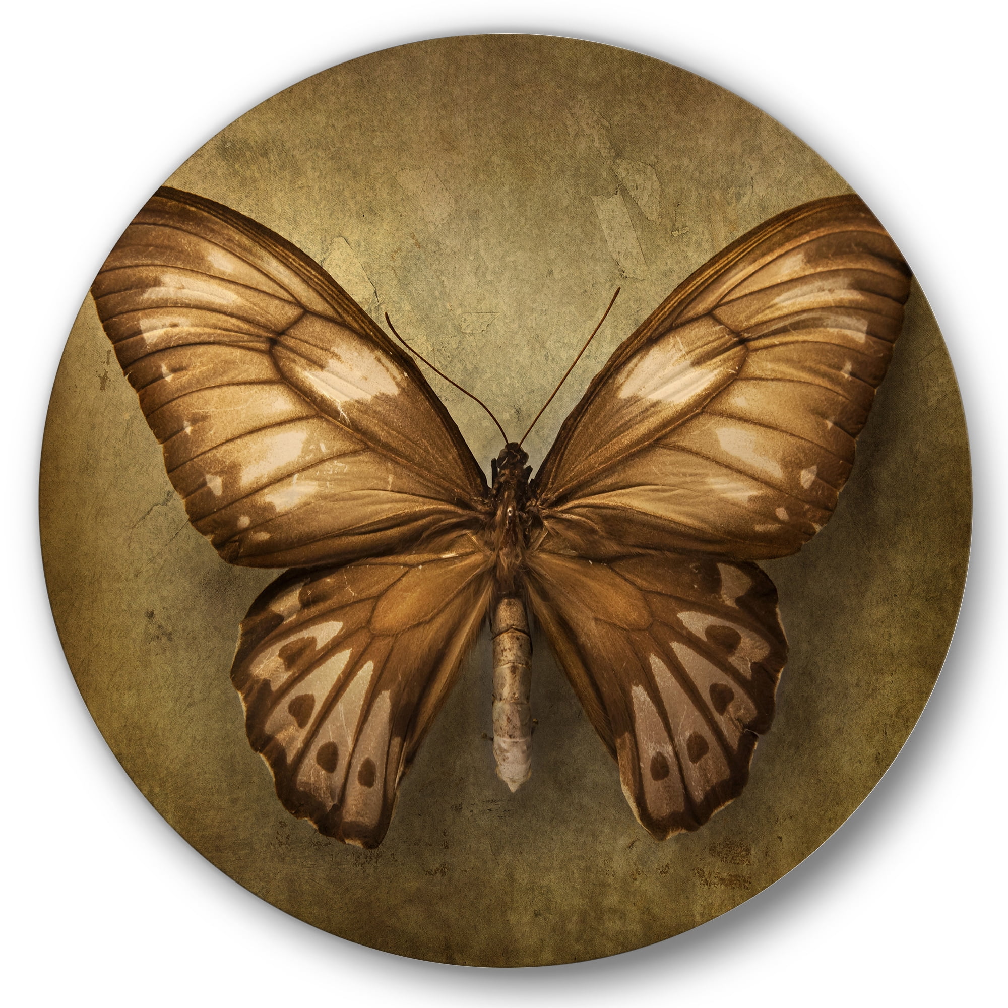 Designart 'Ancient Butterfly In Earth Tones' Vintage Circle Metal Wall Art 29x29 - Disc of 29