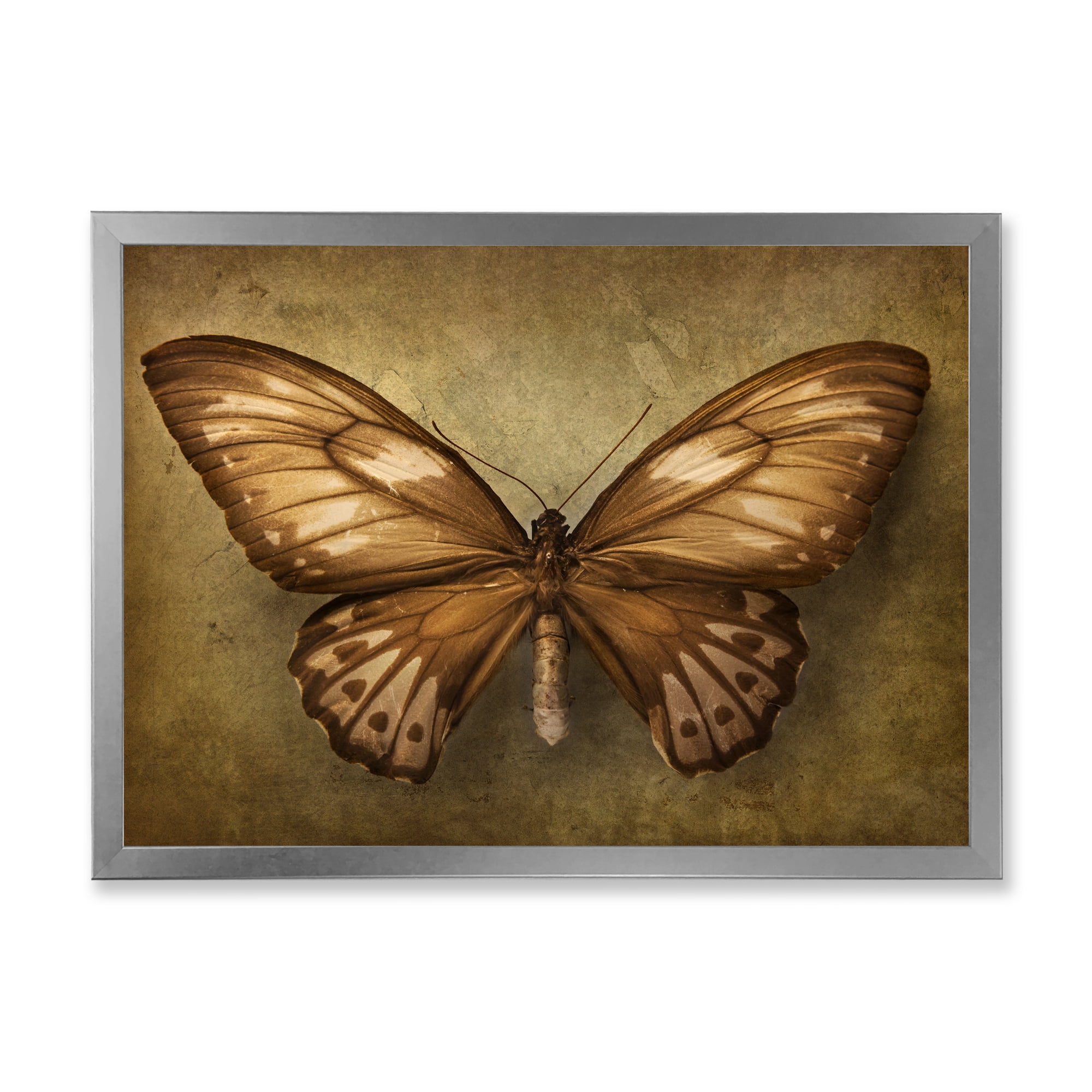 Designart 'Ancient Butterfly In Earth Tones' Vintage Framed Art Print