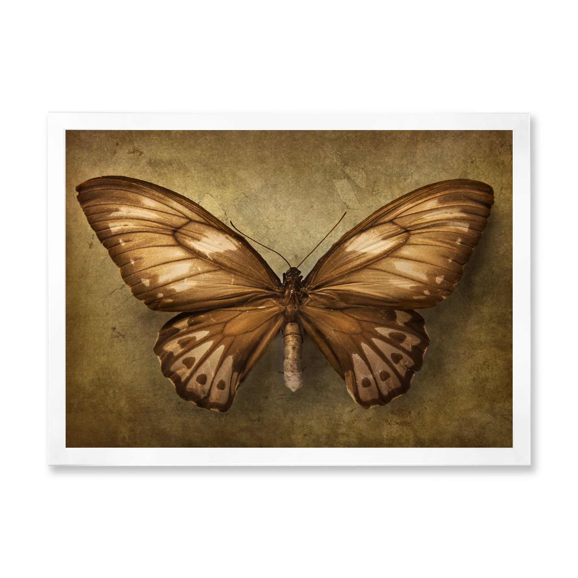 Designart 'Ancient Butterfly In Earth Tones' Vintage Framed Art Print