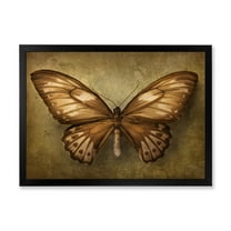 Designart 'Ancient Butterfly In Earth Tones' Vintage Framed Art Print