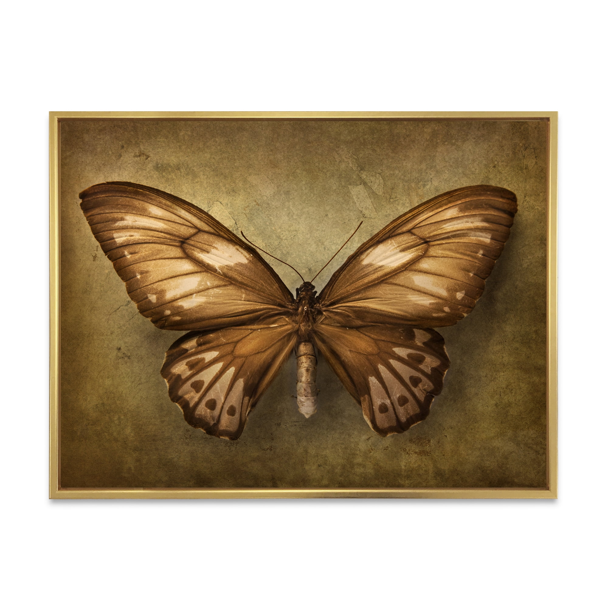 Designart 'Ancient Butterfly In Earth Tones' Vintage Framed Canvas Wall Art Print