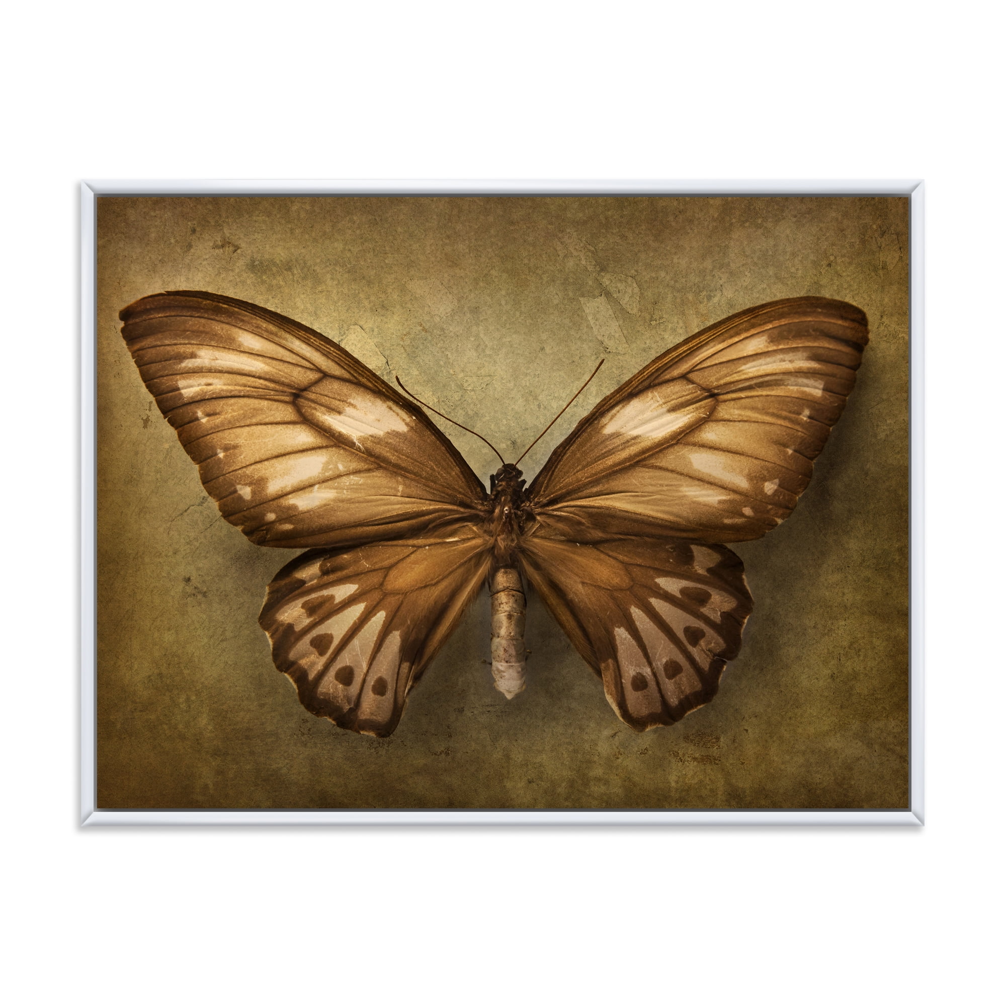 Designart 'Ancient Butterfly In Earth Tones' Vintage Framed Canvas Wall Art Print