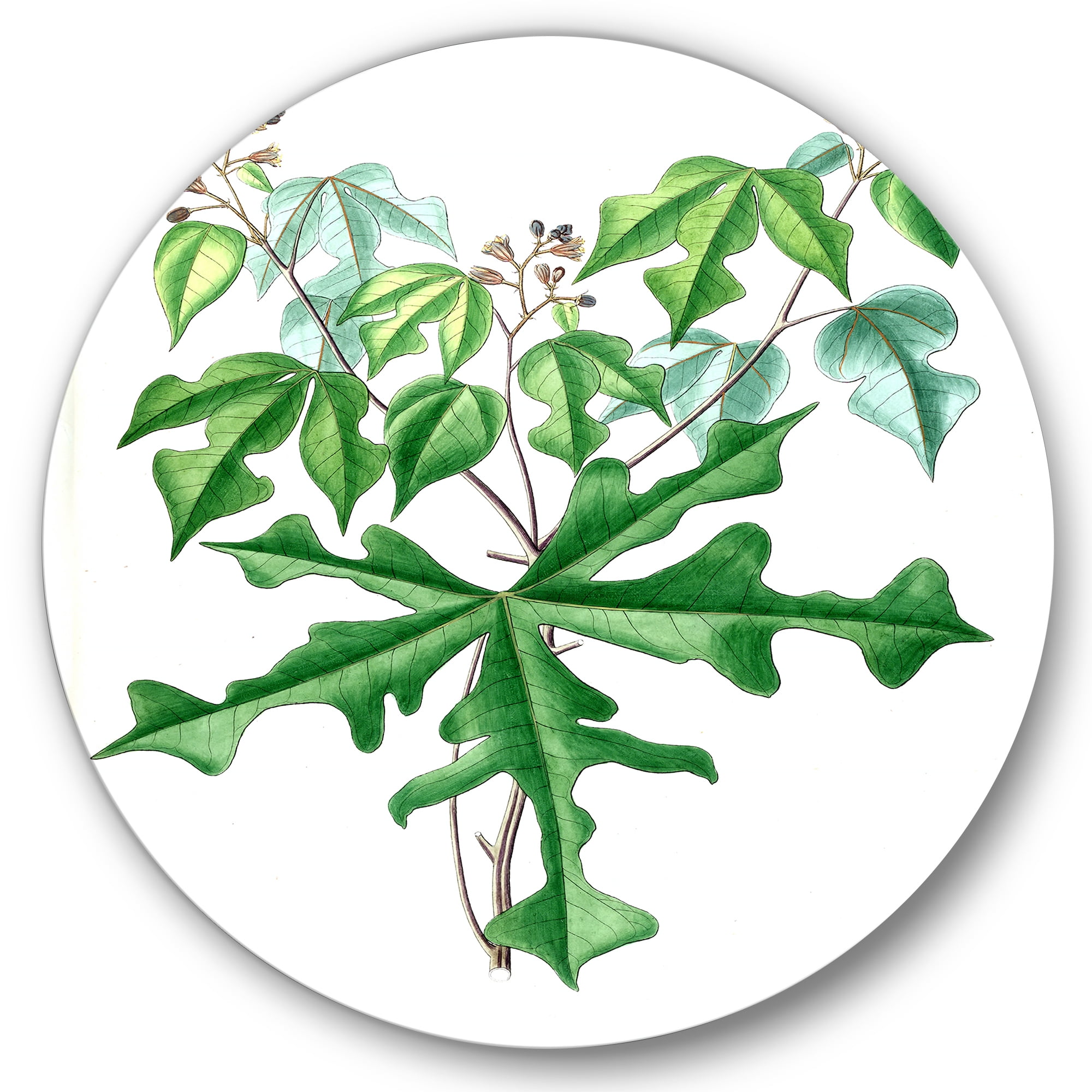 Designart 'Ancient Drawing of Wild Plants' Traditional Circle Metal Wall Art 11x11 - Disc of 11