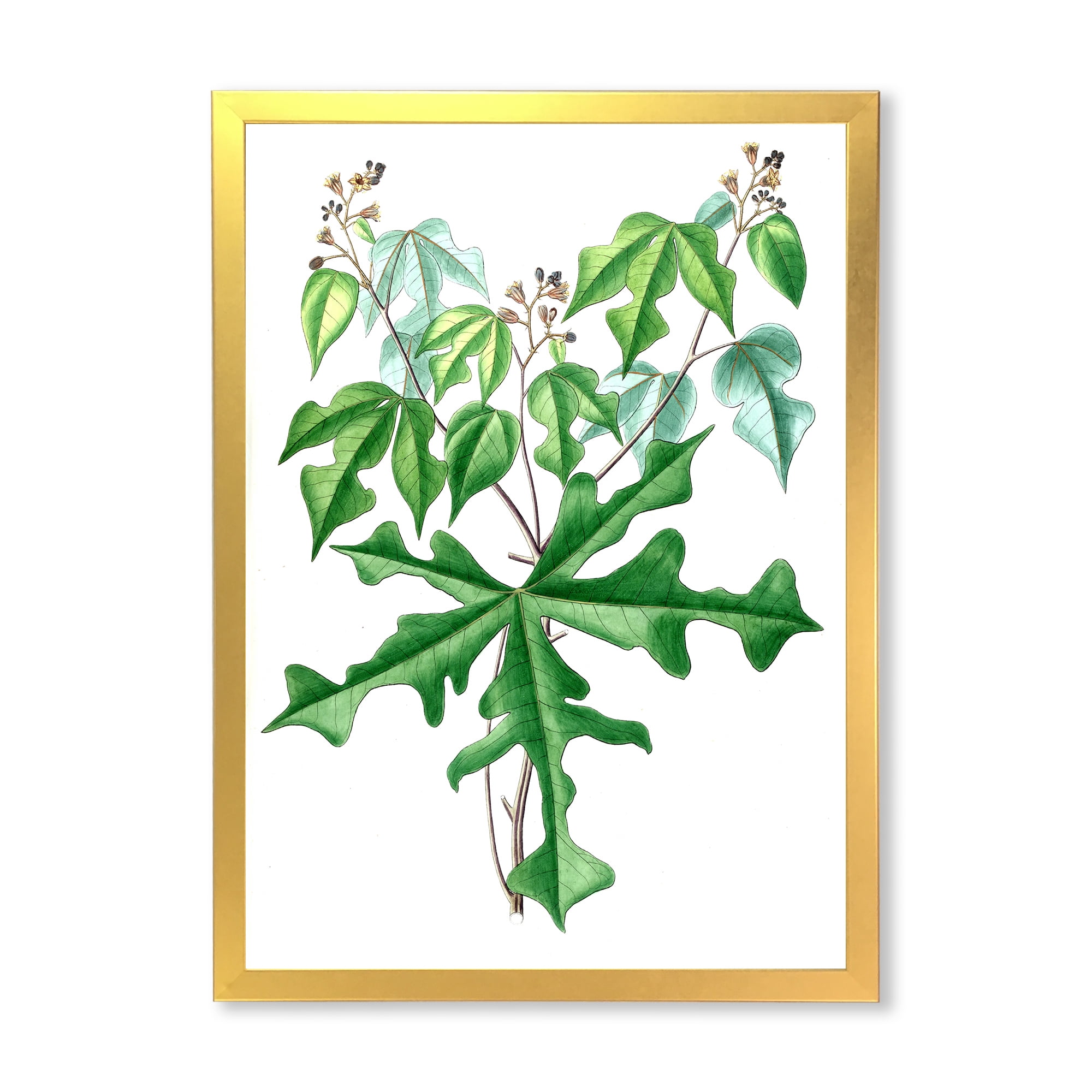 Designart 'Ancient Drawing of Wild Plants' Traditional Framed Art Print