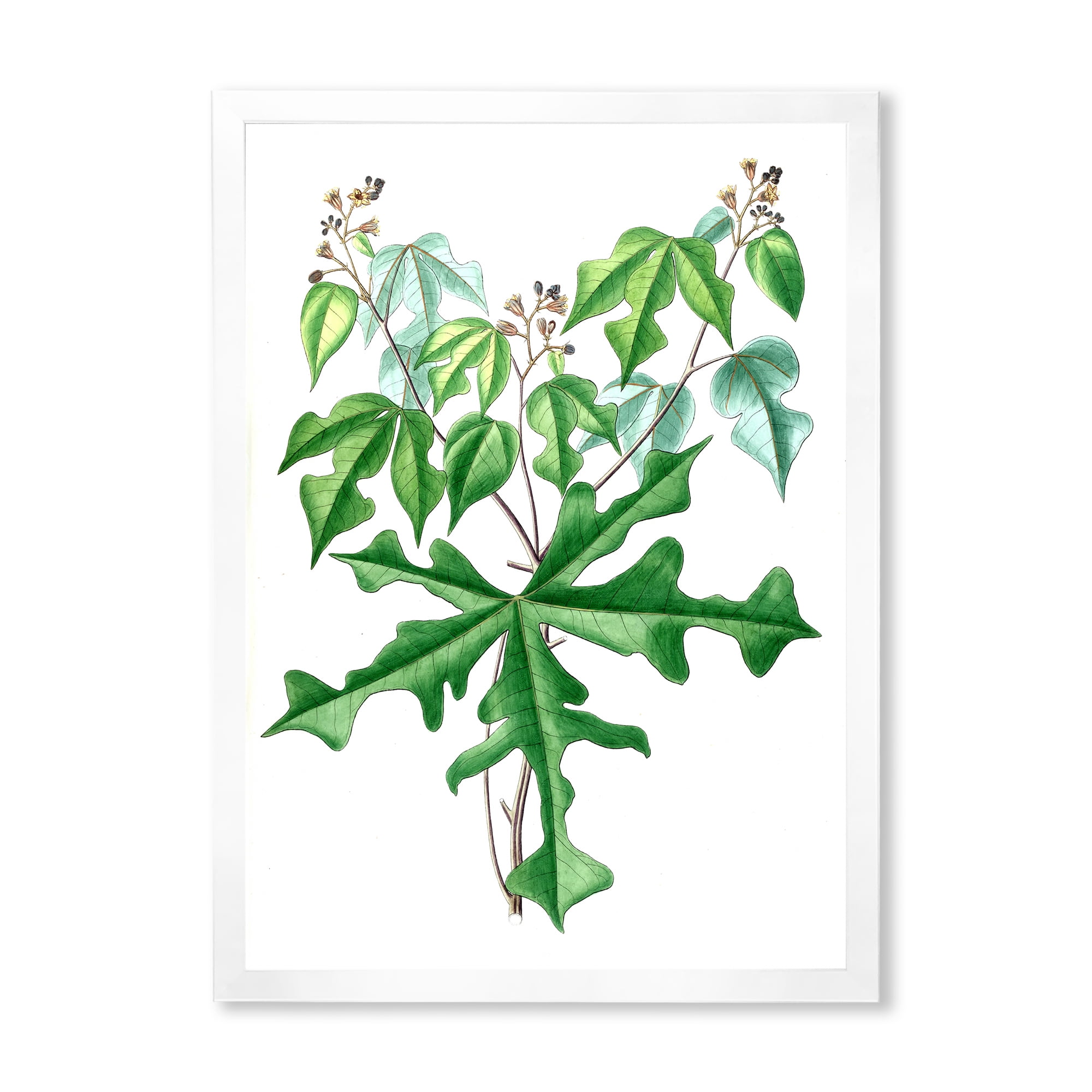 Designart 'Ancient Drawing of Wild Plants' Traditional Framed Art Print