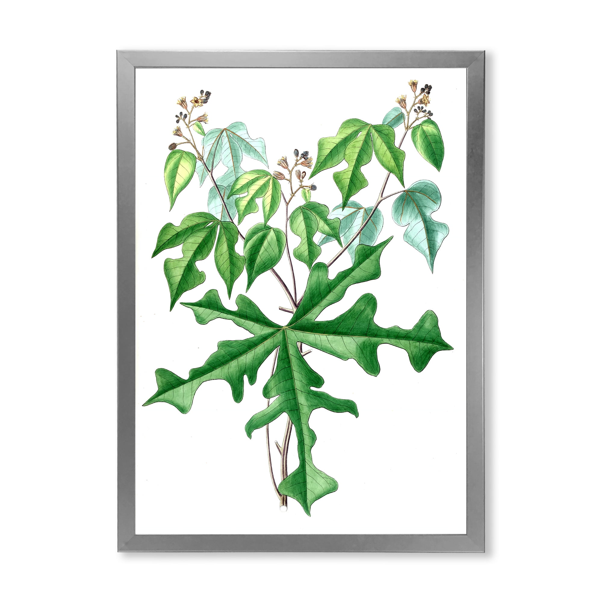 Designart 'Ancient Drawing of Wild Plants' Traditional Framed Art Print