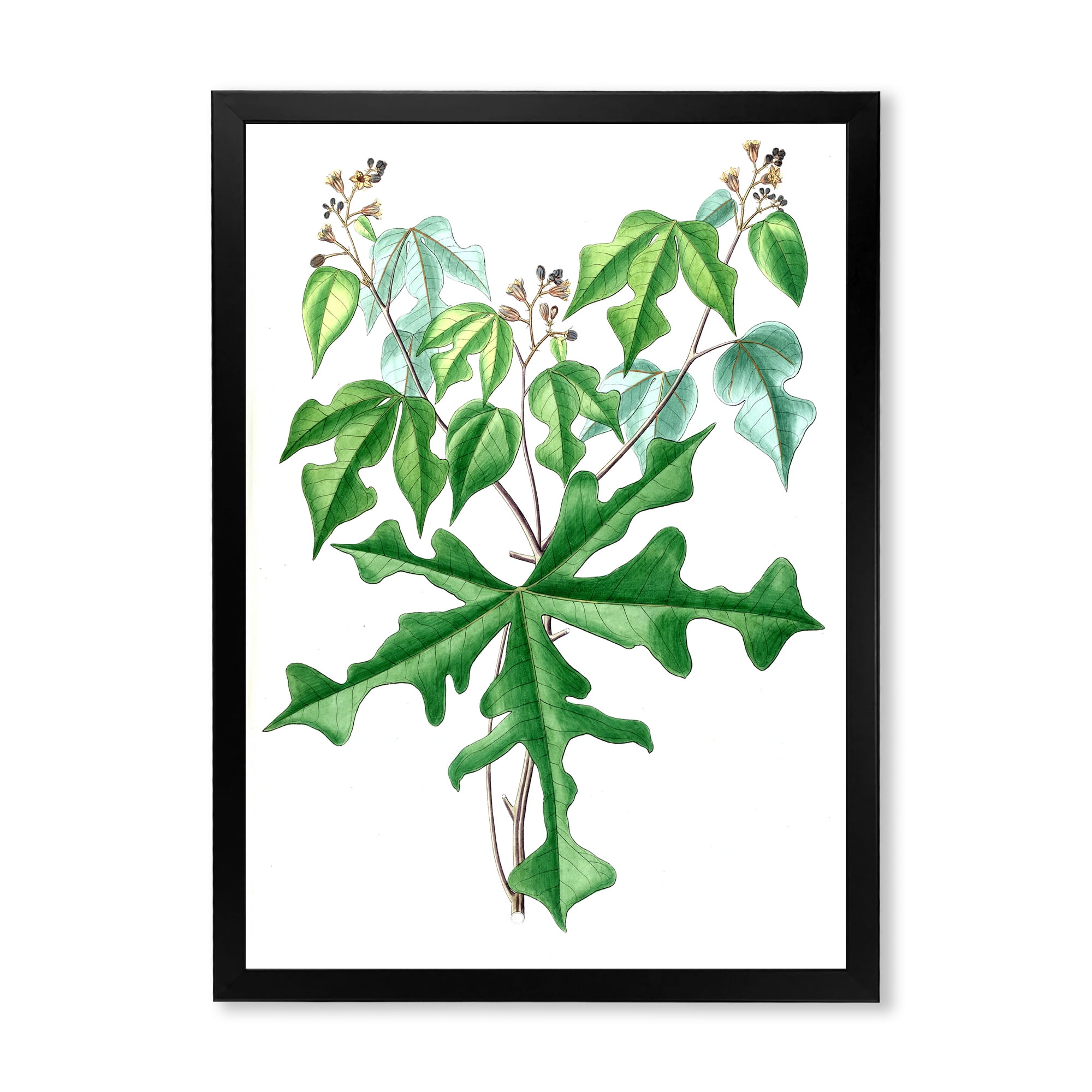 Designart 'Ancient Drawing of Wild Plants' Traditional Framed Art Print