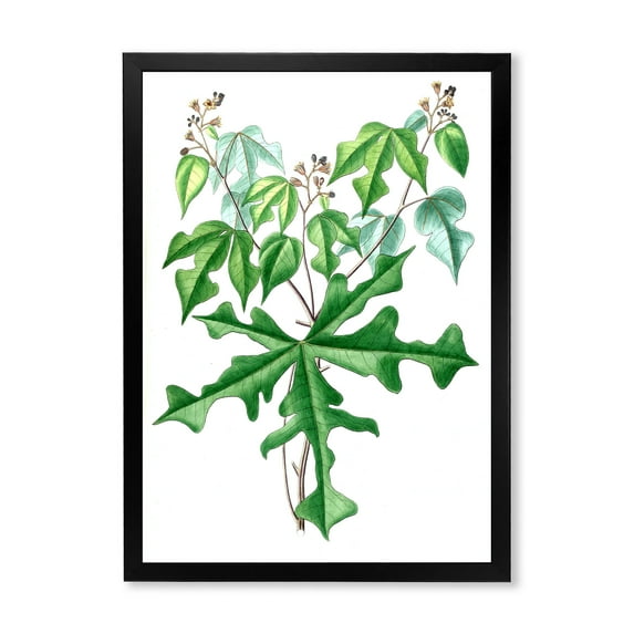Designart 'Ancient Drawing of Wild Plants' Traditional Framed Art Print