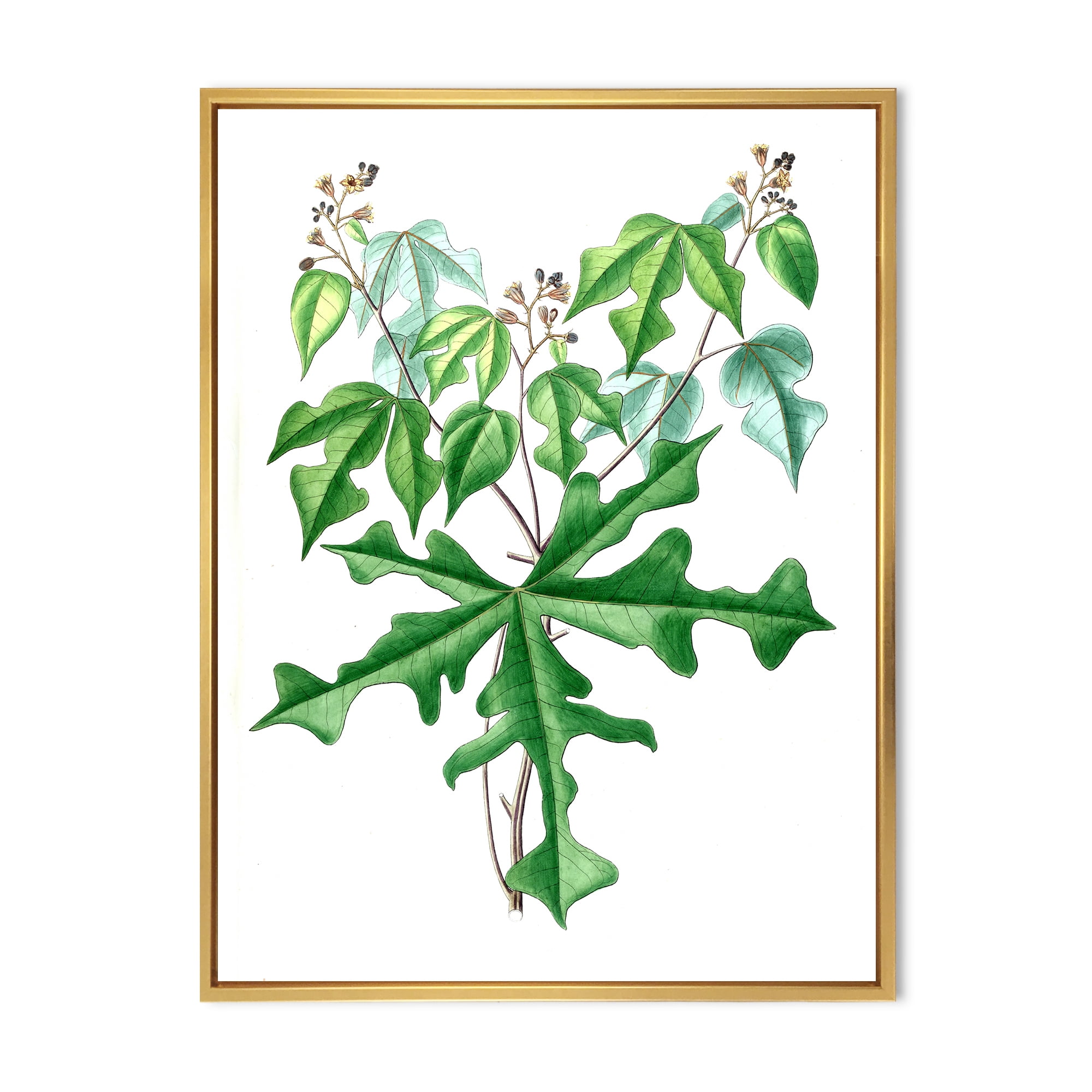 Designart 'Ancient Drawing of Wild Plants' Traditional Framed Canvas Wall Art Print