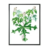 Designart 'Ancient Drawing of Wild Plants' Traditional Framed Canvas Wall Art Print