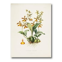 Designart ' Ancient Flower I ' Traditional Canvas Wall Art Print