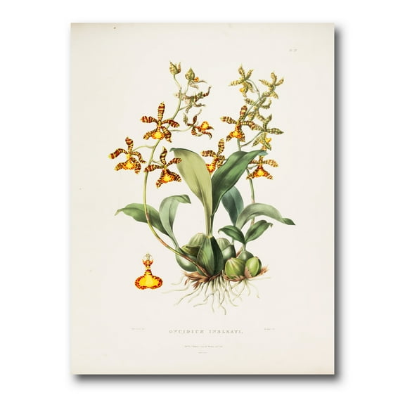 Designart ' Ancient Flower I ' Traditional Canvas Wall Art Print