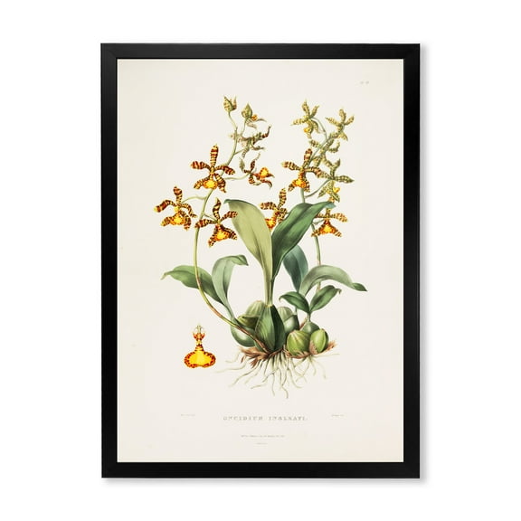Designart 'Ancient Flower I' Traditional Framed Art Print