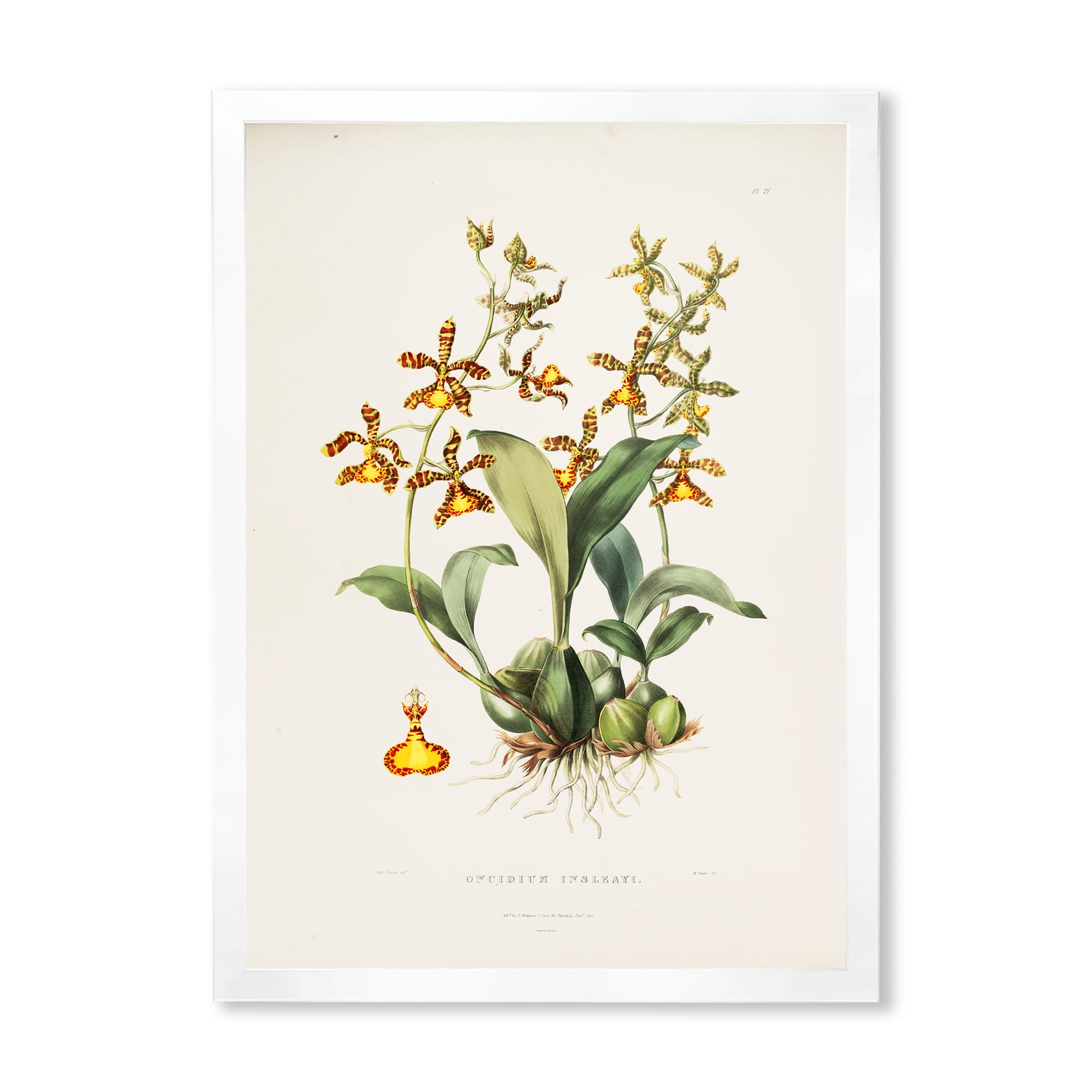 Designart 'Ancient Flower I' Traditional Framed Art Print