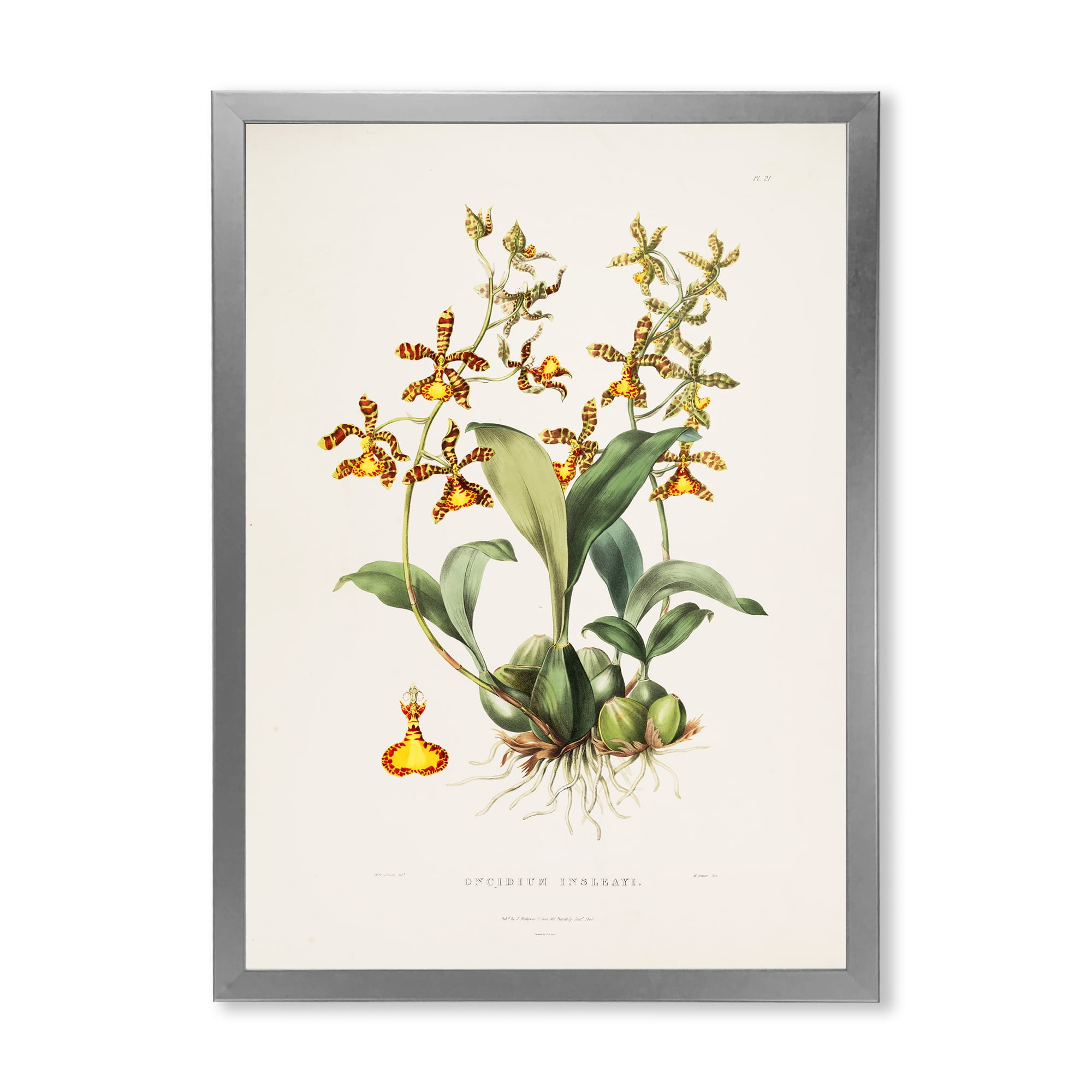 Designart 'Ancient Flower I' Traditional Framed Art Print