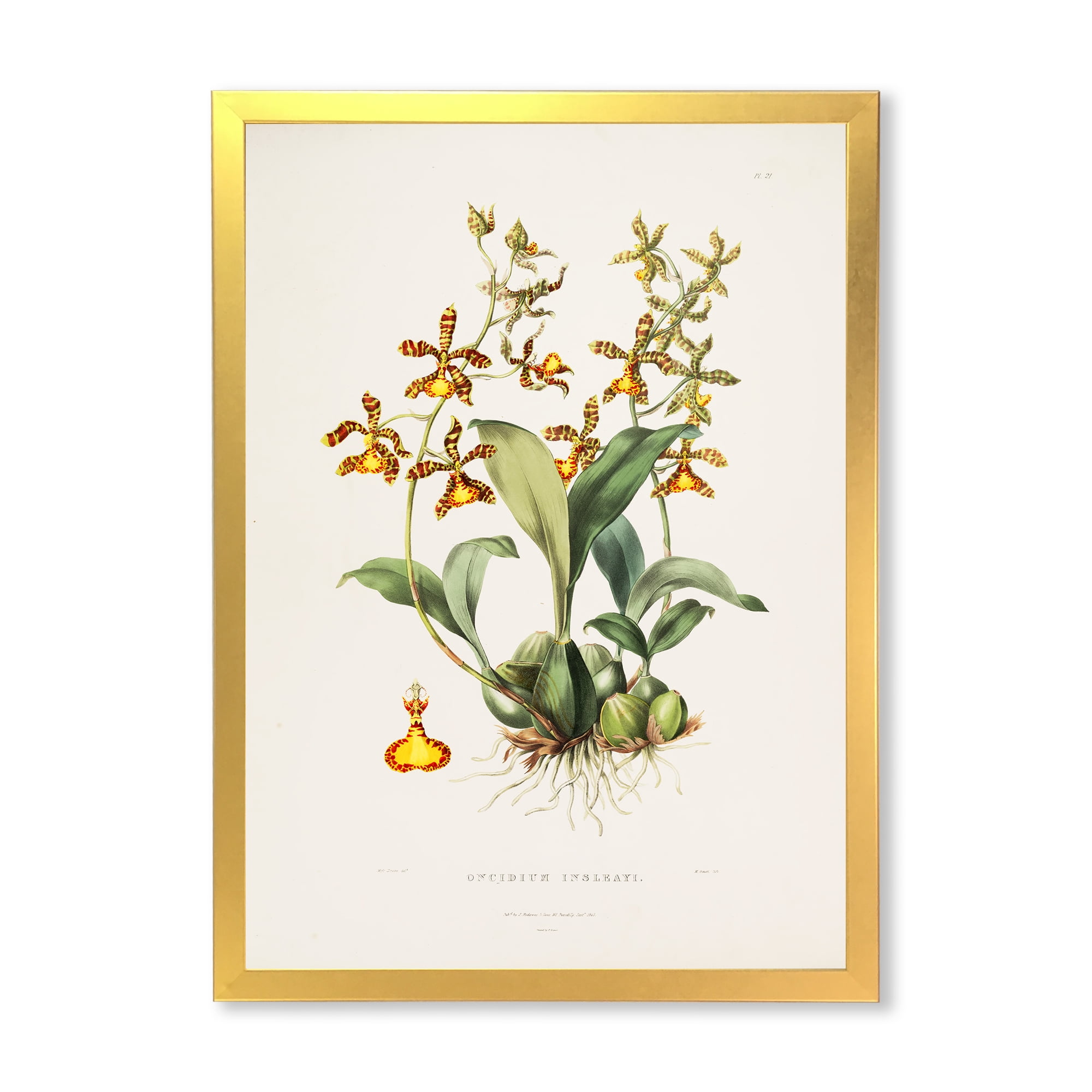 Designart 'Ancient Flower I' Traditional Framed Art Print