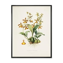 Designart 'Ancient Flower I' Traditional Framed Canvas Wall Art Print