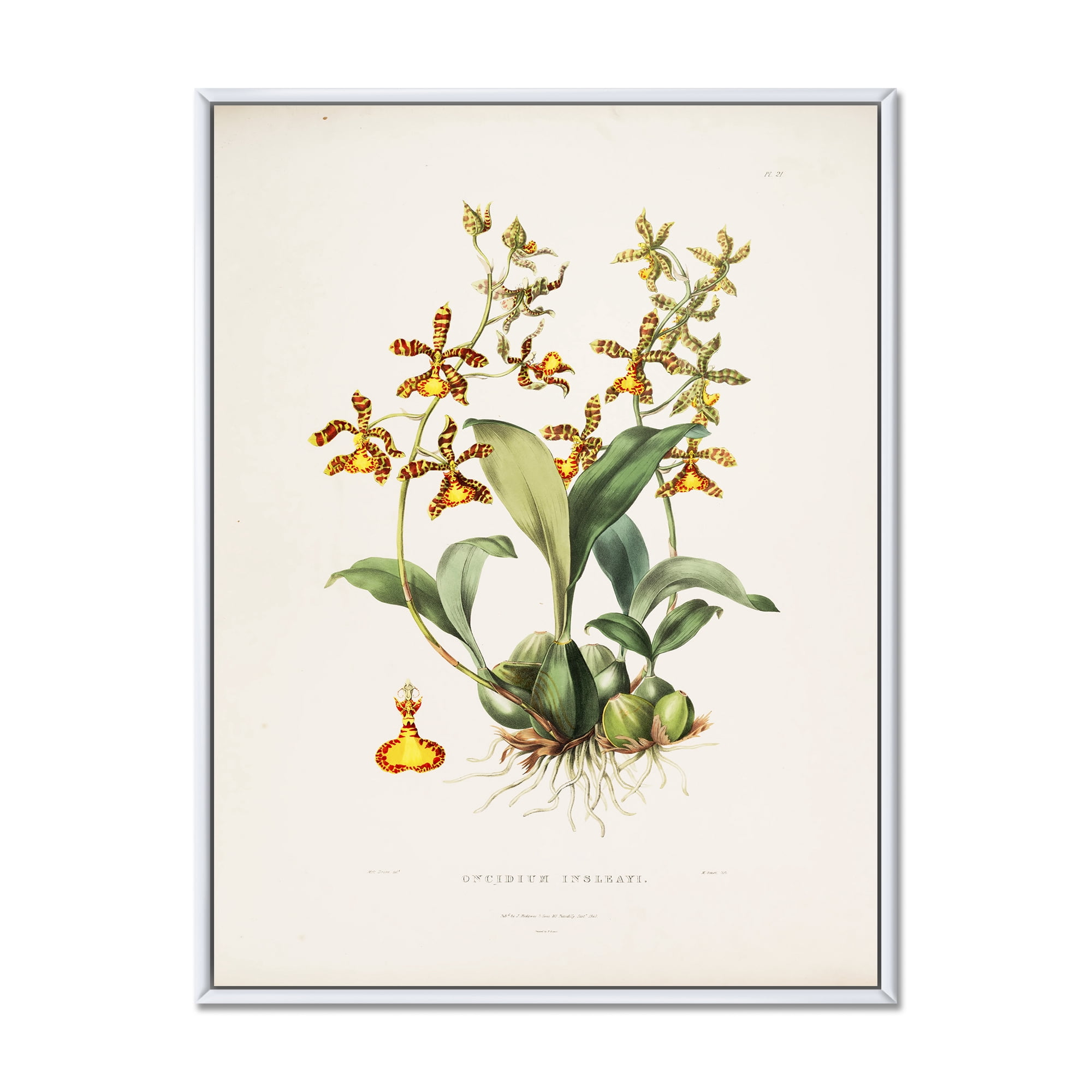 Designart 'Ancient Flower I' Traditional Framed Canvas Wall Art Print