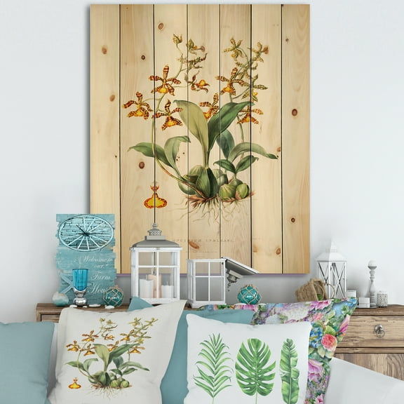 Designart 'Ancient Flower I' Traditional Print on Natural Pine Wood