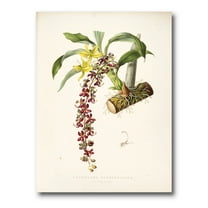 Designart ' Ancient Flower II ' Traditional Canvas Wall Art Print