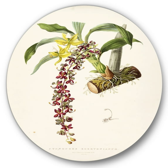 Designart 'Ancient Flower II' Traditional Circle Metal Wall Art 23x23 - Disc of 23