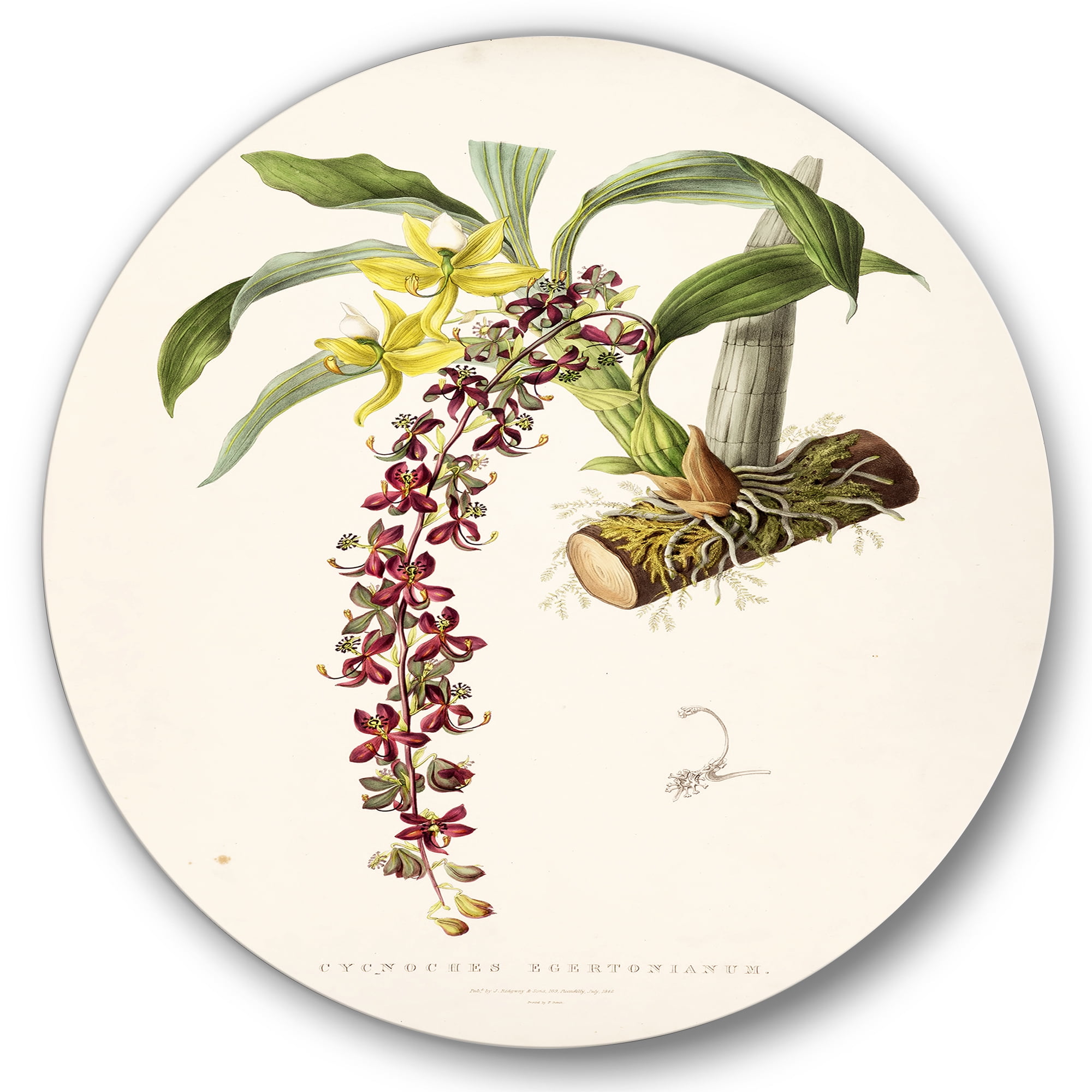 Designart 'Ancient Flower II' Traditional Circle Metal Wall Art 29x29 - Disc of 29