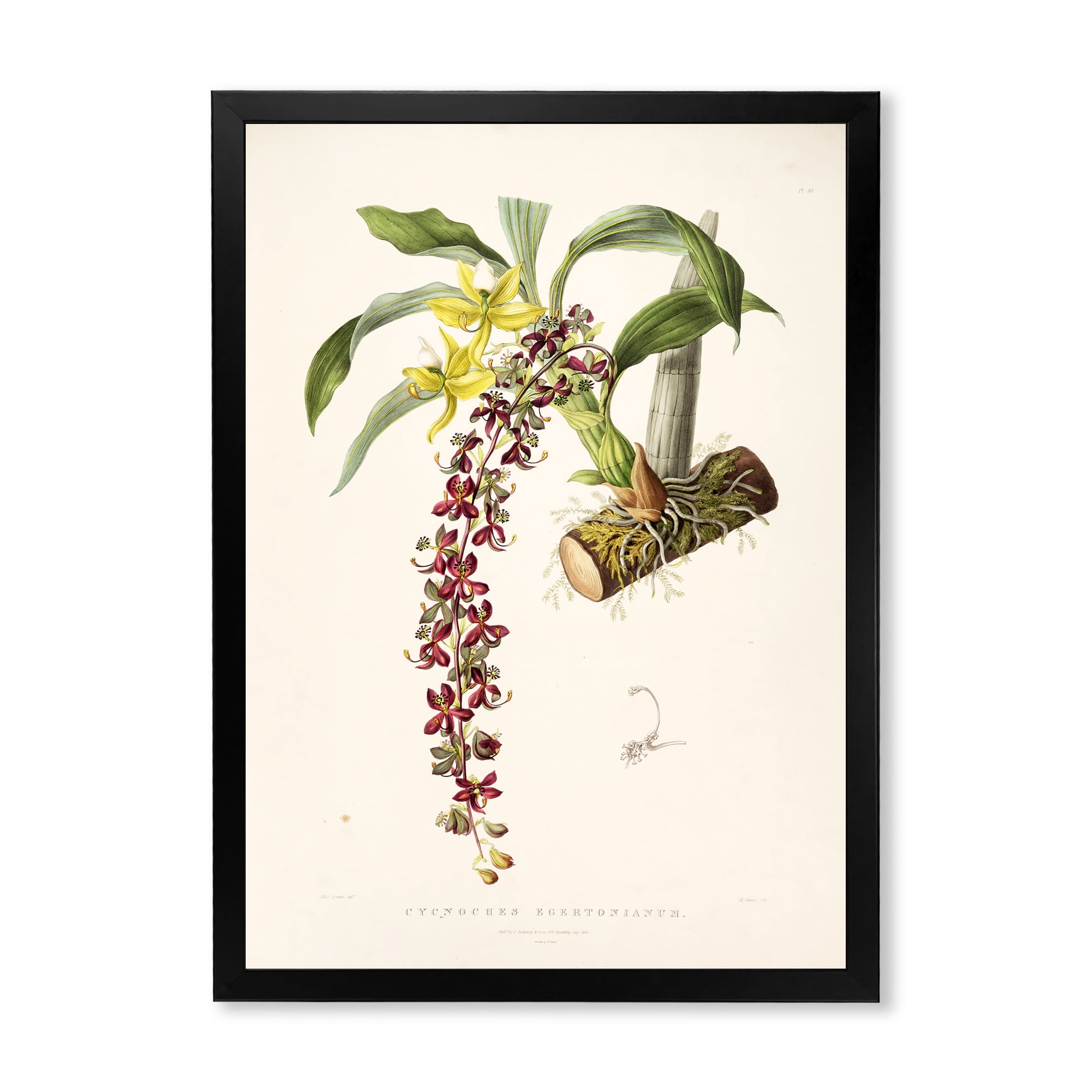 Designart 'Ancient Flower II' Traditional Framed Art Print
