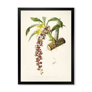 Designart 'Ancient Flower II' Traditional Framed Art Print