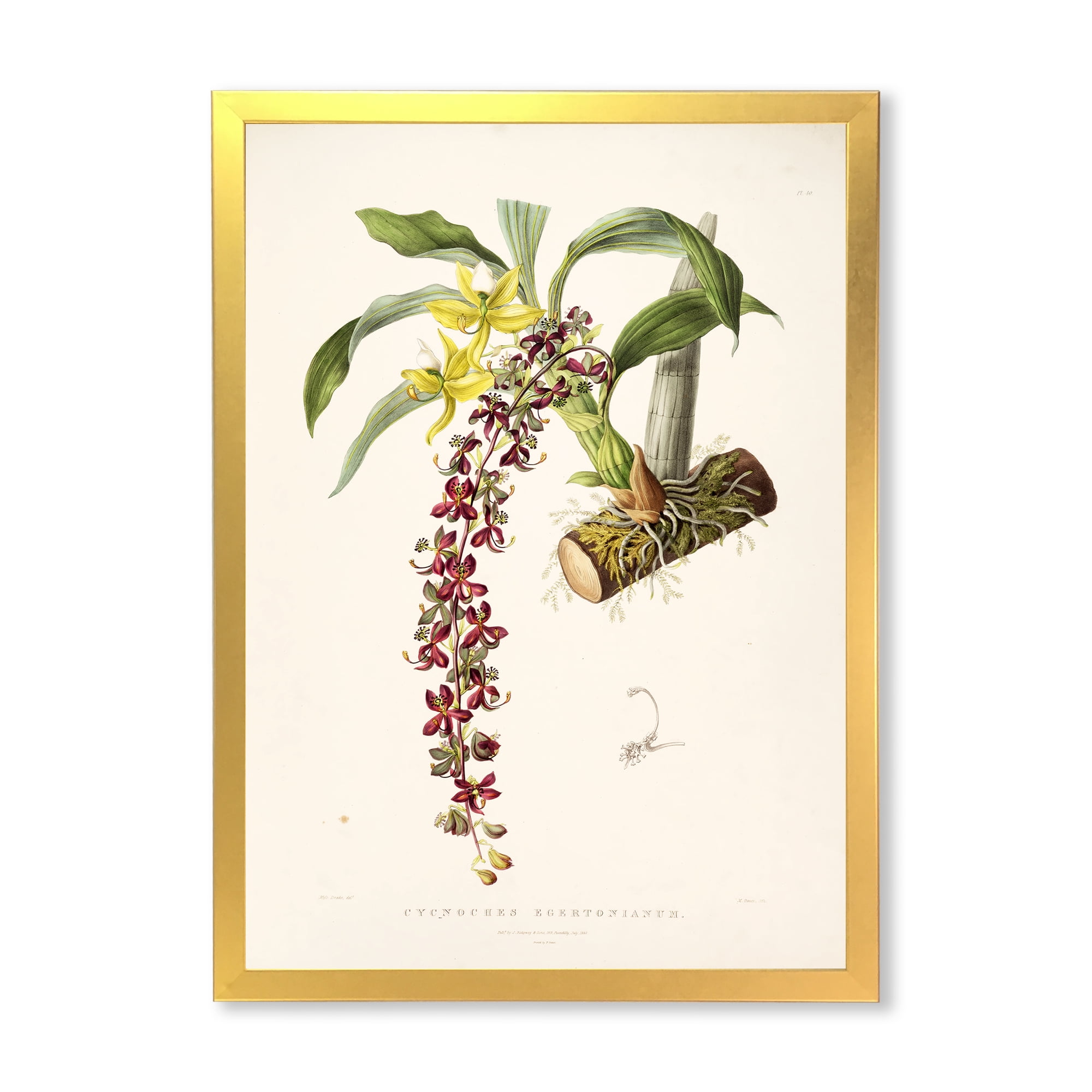 Designart 'Ancient Flower II' Traditional Framed Art Print