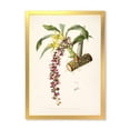 thumbnail image 1 of Designart 'Ancient Flower II' Traditional Framed Art Print, 1 of 4