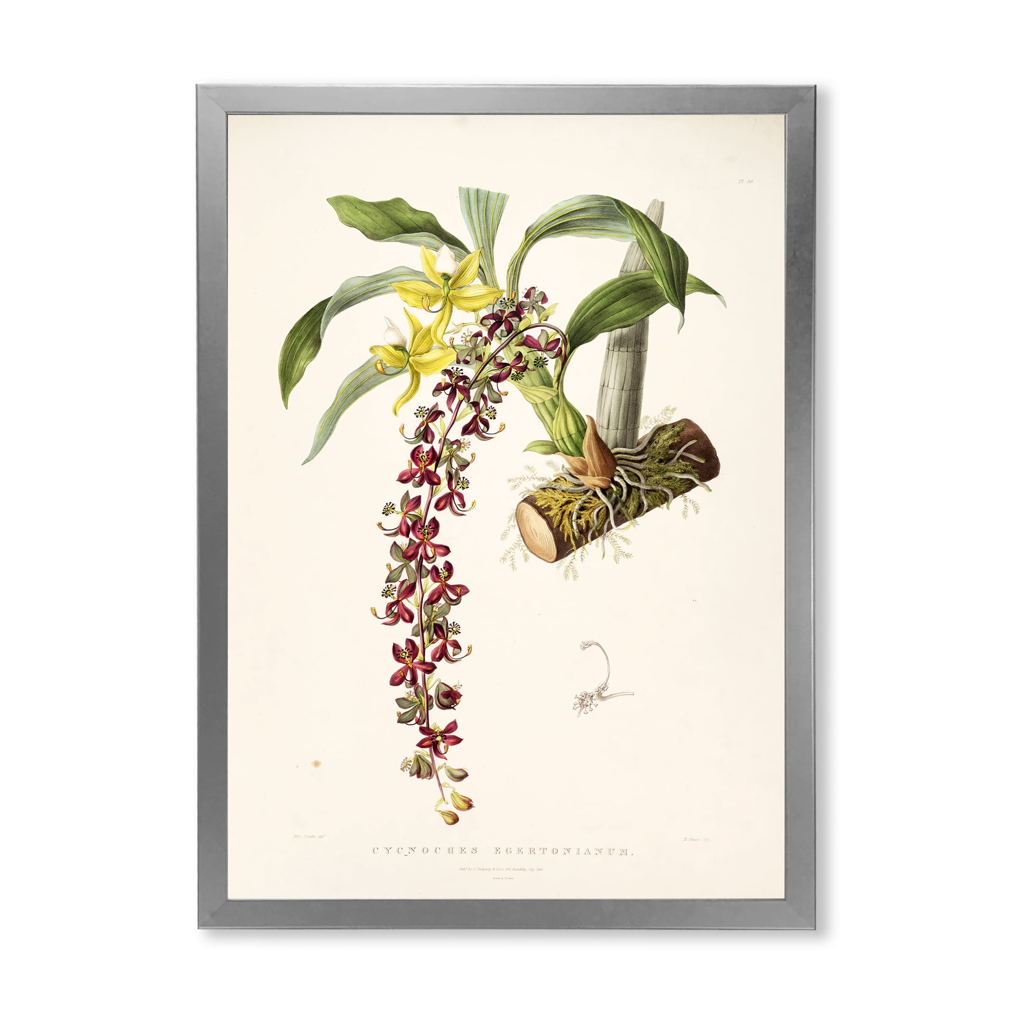 Designart 'Ancient Flower II' Traditional Framed Art Print