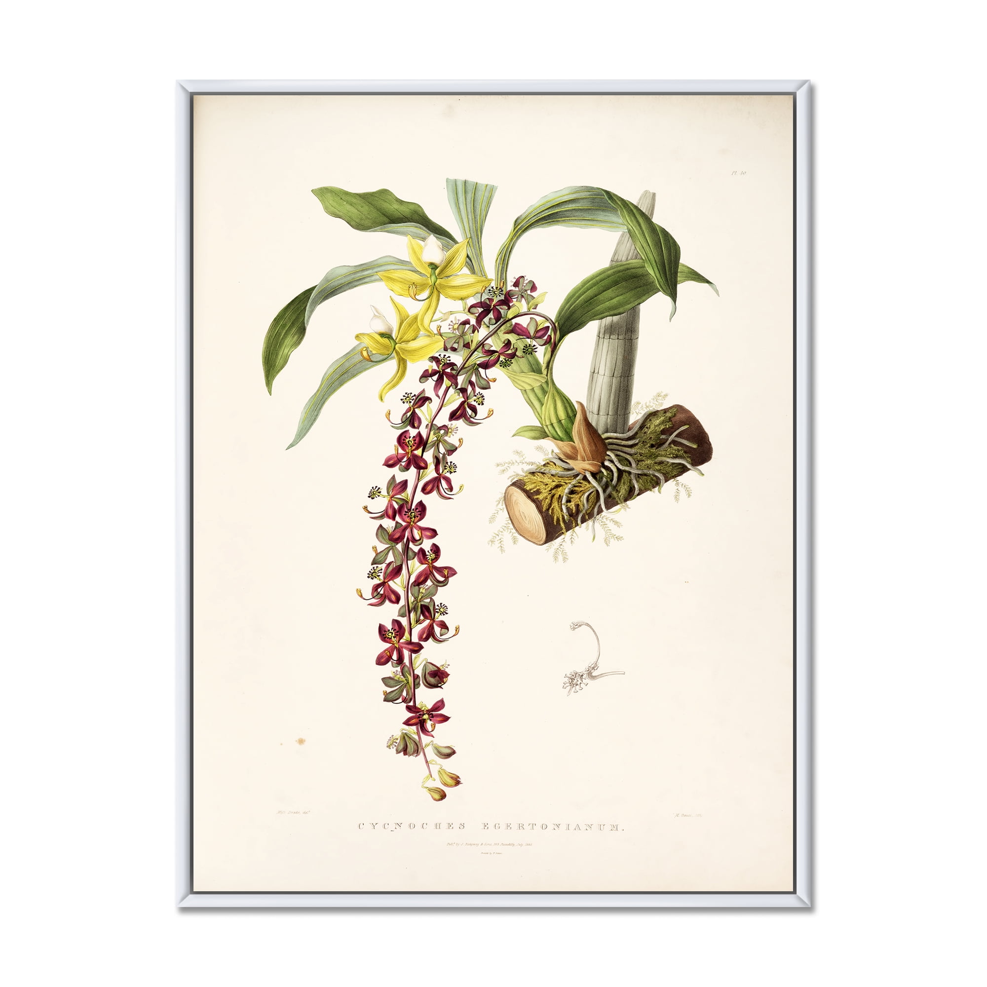 Designart 'Ancient Flower II' Traditional Framed Canvas Wall Art Print