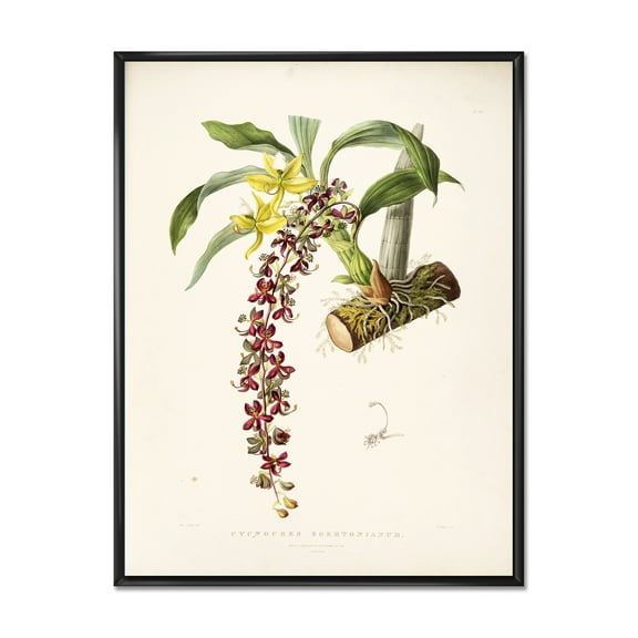 Designart 'Ancient Flower II' Traditional Framed Canvas Wall Art Print