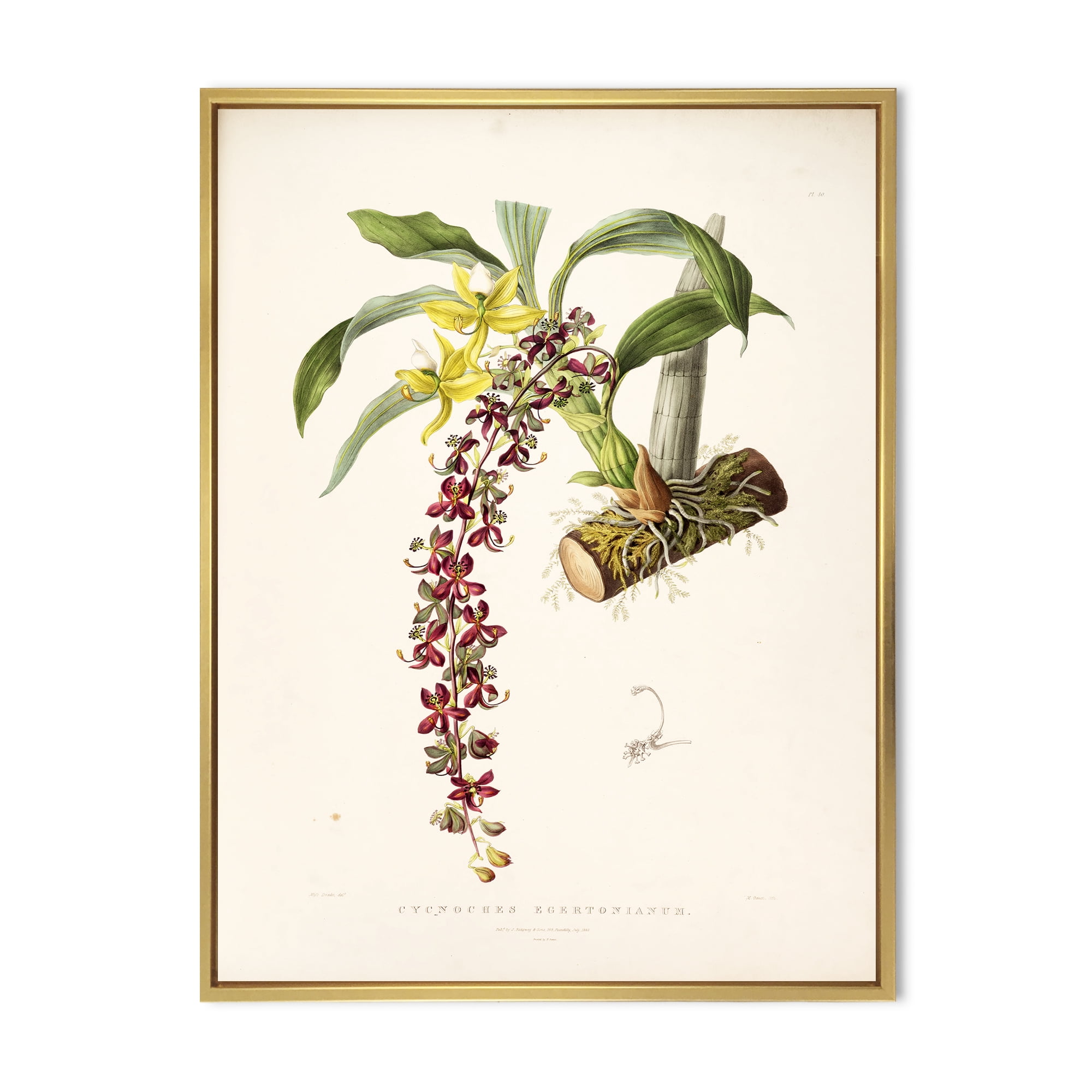Designart 'Ancient Flower II' Traditional Framed Canvas Wall Art Print